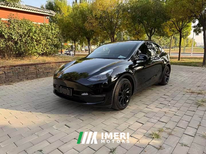 Tesla Model Y Standard Range RWD - ავტომობილი ჩინეთიდან