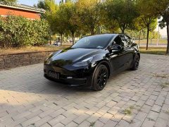 Tesla Model Y Standard Range RWD - ფოტო 1