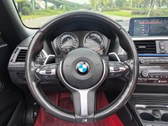 BMW 2 Series (Imported) 2019 225i Convertible Coupe Luxury M Sport Package - ფოტო 11