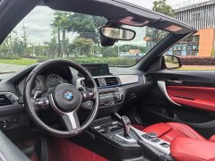 BMW 2 Series (Imported) 2019 225i Convertible Coupe Luxury M Sport Package - ფოტო 15