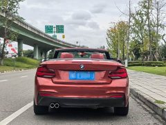 BMW 2 Series (Imported) 2019 225i Convertible Coupe Luxury M Sport Package - ფოტო 6