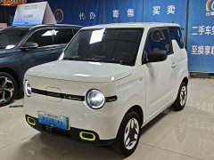 Geely Panda 2025 Panda Mini 210km Vitality Edition - ფოტო 14