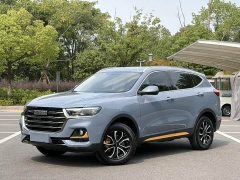 Haval H6 National Trend Edition 1.5T Automatic Urban Version - ფოტო 1