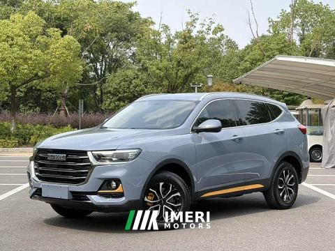 2021 Haval H6 National Trend Edition 1.5T Automatic Urban Version