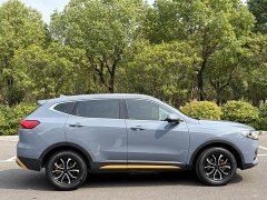 Haval H6 National Trend Edition 1.5T Automatic Urban Version - ფოტო 10