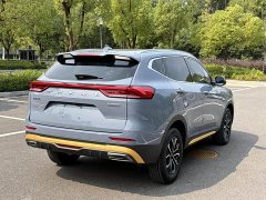 Haval H6 National Trend Edition 1.5T Automatic Urban Version - ფოტო 13