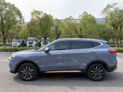 Haval H6 National Trend Edition 1.5T Automatic Urban Version - ფოტო 14