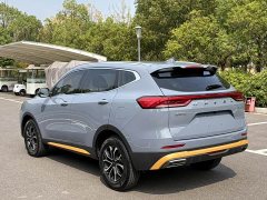 Haval H6 National Trend Edition 1.5T Automatic Urban Version - ფოტო 17