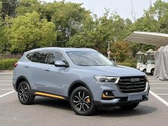 Haval H6 National Trend Edition 1.5T Automatic Urban Version - ფოტო 3