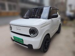 Geely Panda 2024 Panda Mini 200km Endurance Edition - ფოტო 1