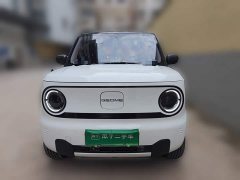Geely Panda 2024 Panda Mini 200km Endurance Edition - ფოტო 2