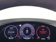 Porsche 2024 Cayenne 3.0T - ფოტო 13