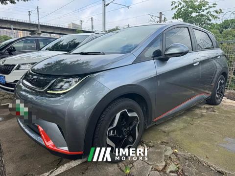 2022 BYD Dolphin 405km Fashion Edition