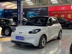 Wuling Binguo 333km Joy Edition - ფოტო 1