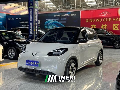2024 Wuling Binguo 333km Joy Edition - ავტომობილი ჩინეთიდან