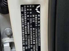Wuling Binguo 333km Joy Edition - ფოტო 9