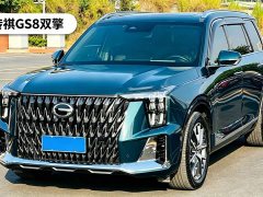 GAC Aion GS8 Dual Engine 2.0T M Two-Wheel Drive Luxury Edition (7-Seater) - ფოტო 1