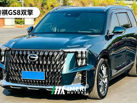 2022 GAC Aion GS8 Dual Engine 2.0T M Two-Wheel Drive Luxury Edition (7-Seater)
