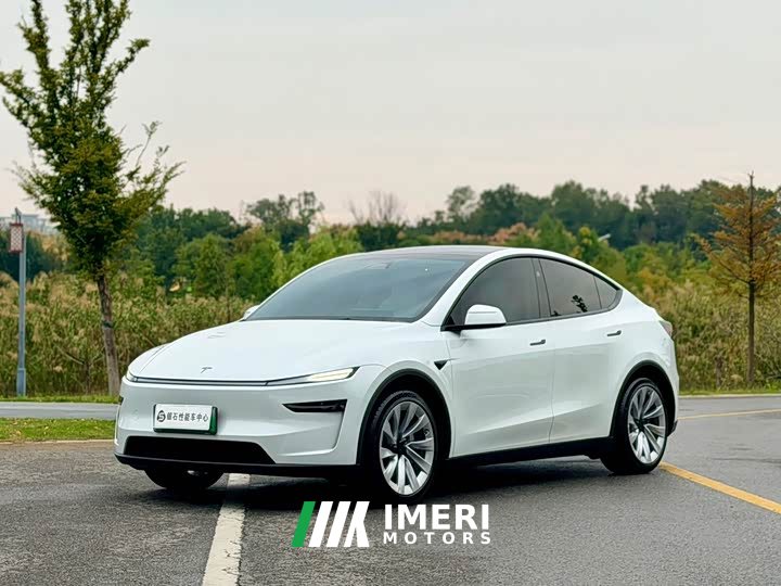 Tesla Model Y Facelift Long Range All-Wheel Drive - ავტომობილი ჩინეთიდან
