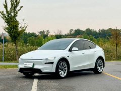 Tesla Model Y Facelift Long Range All-Wheel Drive - ფოტო 1
