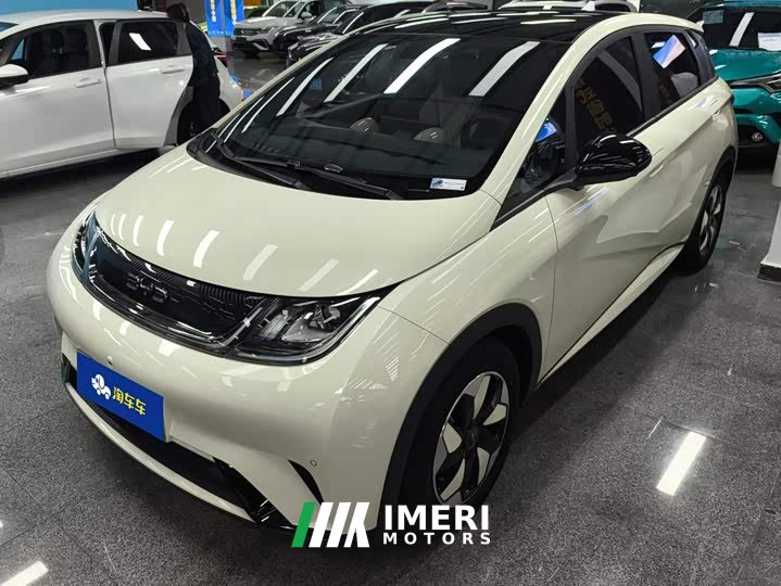 BYD Dolphin Glory Edition 420km Fashion Version - ავტომობილი ჩინეთიდან