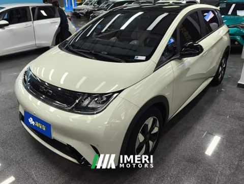 2024 BYD Dolphin Glory Edition 420km Fashion Version - ავტომობილი ჩინეთიდან