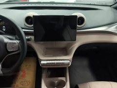 BYD Dolphin Glory Edition 420km Fashion Version - ფოტო 13