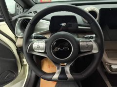 BYD Dolphin Glory Edition 420km Fashion Version - ფოტო 15