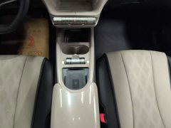 BYD Dolphin Glory Edition 420km Fashion Version - ფოტო 16