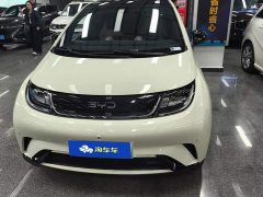 BYD Dolphin Glory Edition 420km Fashion Version - ფოტო 2