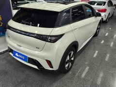 BYD Dolphin Glory Edition 420km Fashion Version - ფოტო 3