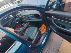 Geely Xingyue L 2.0T High-Power Automatic AWD Luxury - фото 19
