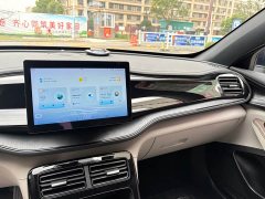 BYD Qin PLUS 2023 Champion Edition DM-i 55KM Leading - ფოტო 9