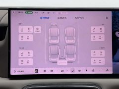 Geely Galaxy M9 230km Two-Wheel Drive Explorer Edition - ფოტო 11