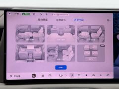 Geely Galaxy M9 230km Two-Wheel Drive Explorer Edition - ფოტო 12