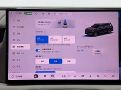Geely Galaxy M9 230km Two-Wheel Drive Explorer Edition - ფოტო 13
