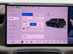 Geely Galaxy M9 230km Two-Wheel Drive Explorer Edition - ფოტო 14