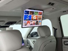 Geely Galaxy M9 230km Two-Wheel Drive Explorer Edition - ფოტო 20
