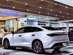BYD Seal 06 DM-i 120KM Honor Edition - ფოტო 15