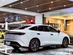 BYD Seal 06 DM-i 120KM Honor Edition - ფოტო 17
