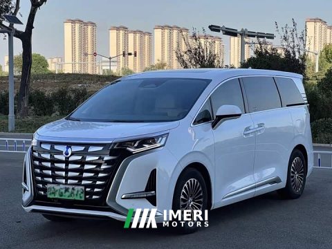 2023 Denza BYD Denza D9 2022 DM-i 1040 Premium - ავტომობილი ჩინეთიდან