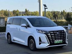 Denza BYD Denza D9 2022 DM-i 1040 Premium - ფოტო 3