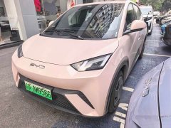 BYD Seagull 2023 Vitality Edition - ფოტო 1