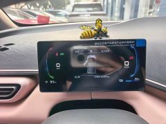 BYD Seagull 2023 Vitality Edition - ფოტო 7