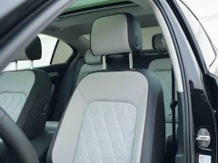 Volkswagen Magotan Facelift II Popular Edition 330TSI DSG Luxury - ფოტო 14