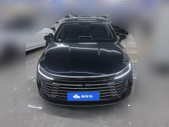 BYD Destroyer 05 Glory Edition DM-i 55KM Luxury - ფოტო 2