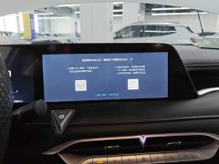 Nissan Venucia V 2021 260T Monarch Edition - ფოტო 13
