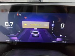 Nissan Venucia V 2021 260T Monarch Edition - ფოტო 14