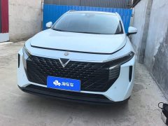 Nissan Venucia V 2021 260T Monarch Edition - ფოტო 2