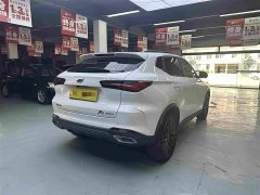Changan Oushan X5 1.5T DCT Premier - ფოტო 8